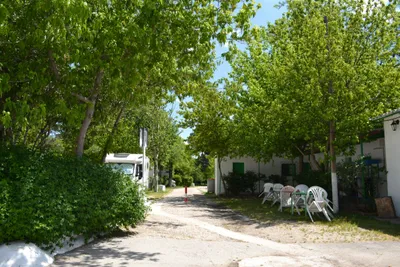 Camping Osuna - Zentrale Allee des Campingplatzes 