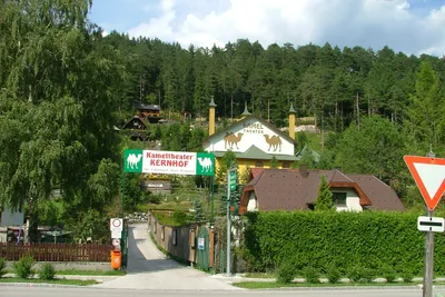Camping Paradise Garden