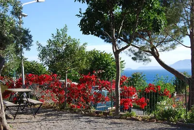 Camping Park Mara - Esstischauf dem Campingplatz mit Blick auf den See 