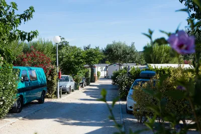 Camping Pascalounet - Bild 4