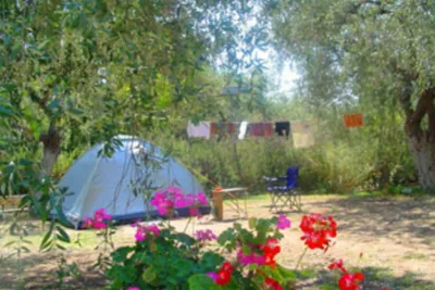 Camping Pefkari -  Zeltstellplätze im Grünen auf dem Campingplatz
