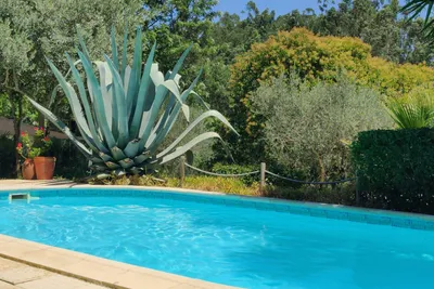 Camping Pelinos - Pool auf dem Campingplatz