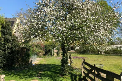 Camping Pieterom - Blühende Natur auf dem Campingplatz