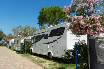 Camping Pino Mare - Stellplaetze auf der Wiese