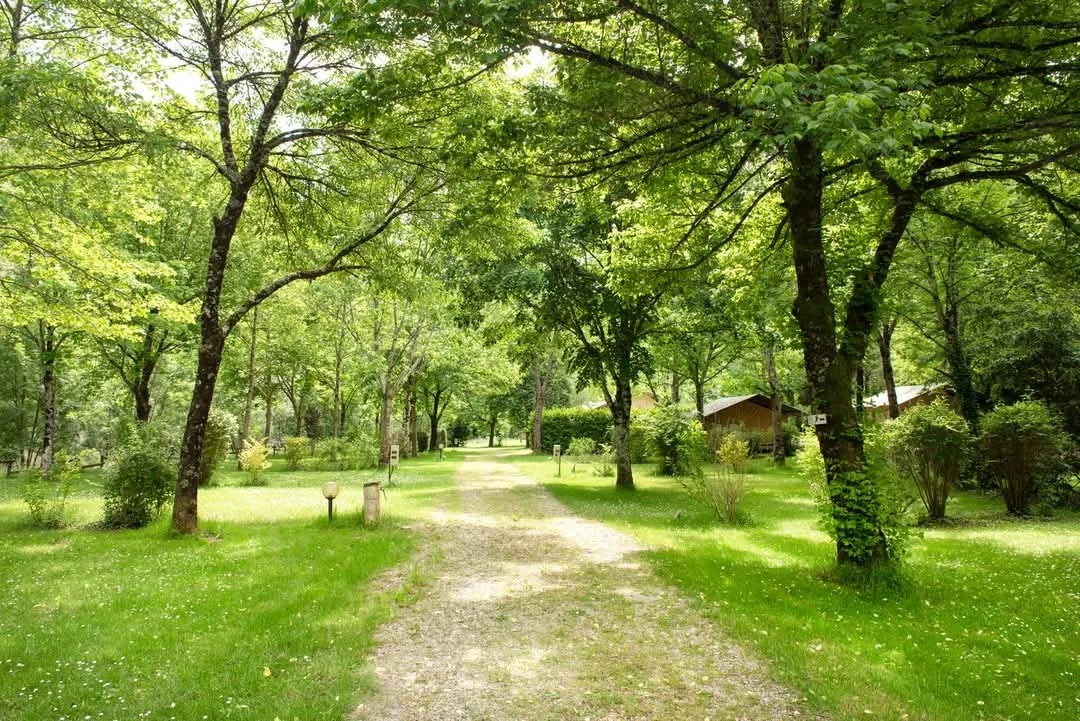 Camping Pittoresque