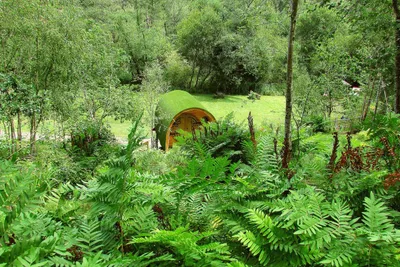 Camping Playa de Vega