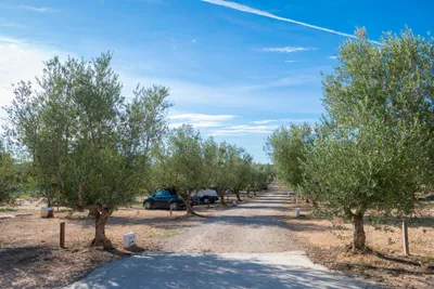 Camping Playamonte - Standplätze zwischen den Bäumen auf dem Campingplatz
