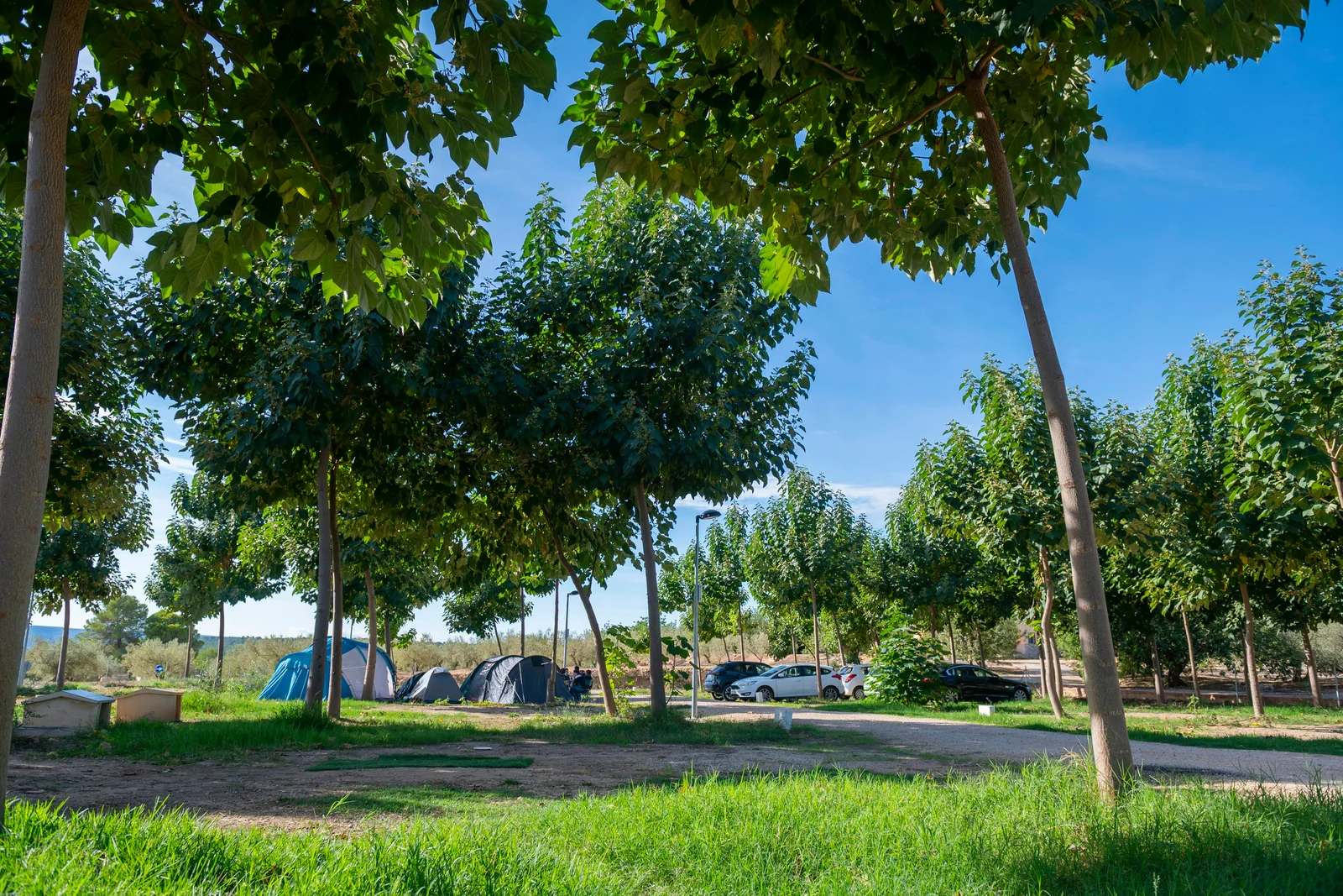 Camping Playamonte