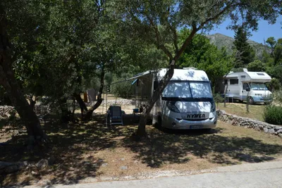 Camping Pod Maslinom - schattiger Wohnmobilstellplatz auf dem Campingplatz 