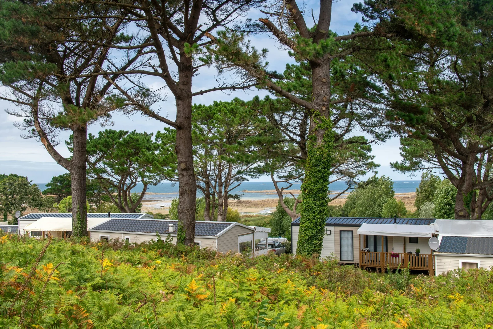 Flower Camping Le Port De La Chaine