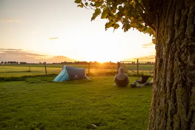 Camping Prinsenhof - Bild 2