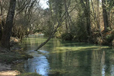 Camping Puente De Las Herrerias - Bild 2