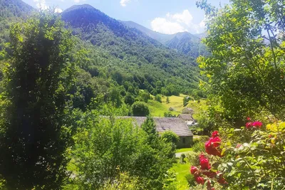 Camping Pyrénées Natura - Bild 2