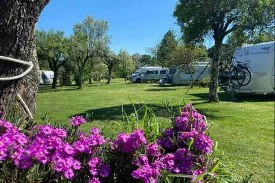 Camping Quinta Da Cerejeira - Bild 2