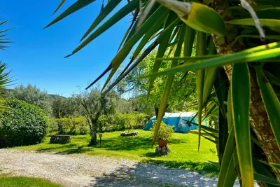 Camping Quinta Da Cerejeira - Bild 4