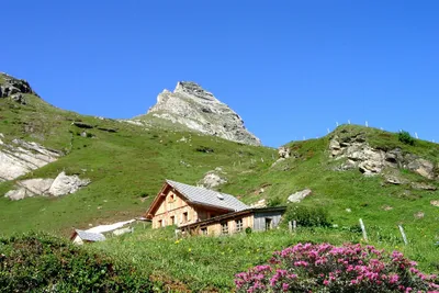 Camping Ramsbacher - Campingplatz Rezeption mit Blick auf die Berge auf dem Campingplatz