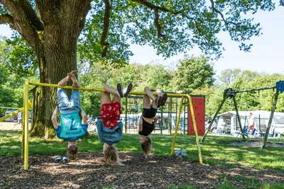 Camping Rijsterbos