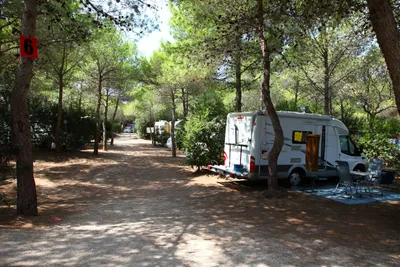 Camping Riva di Ugento - Zelt- und Wohnwagenstellplatz umringt von Wald auf dem Campingplatz