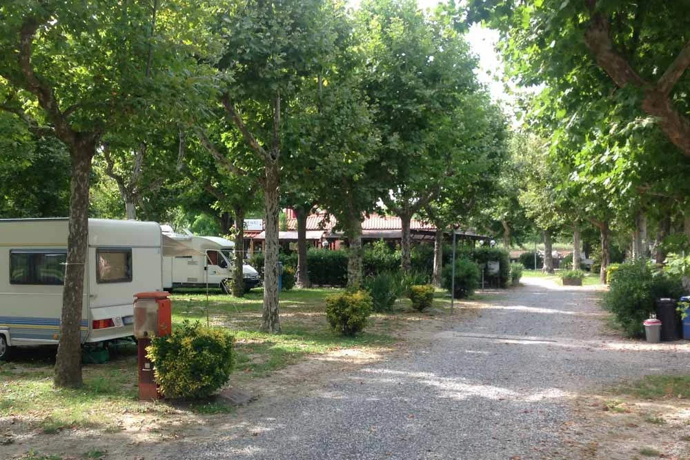 Camping River
