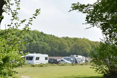 Camping Roderveld - Bild 3