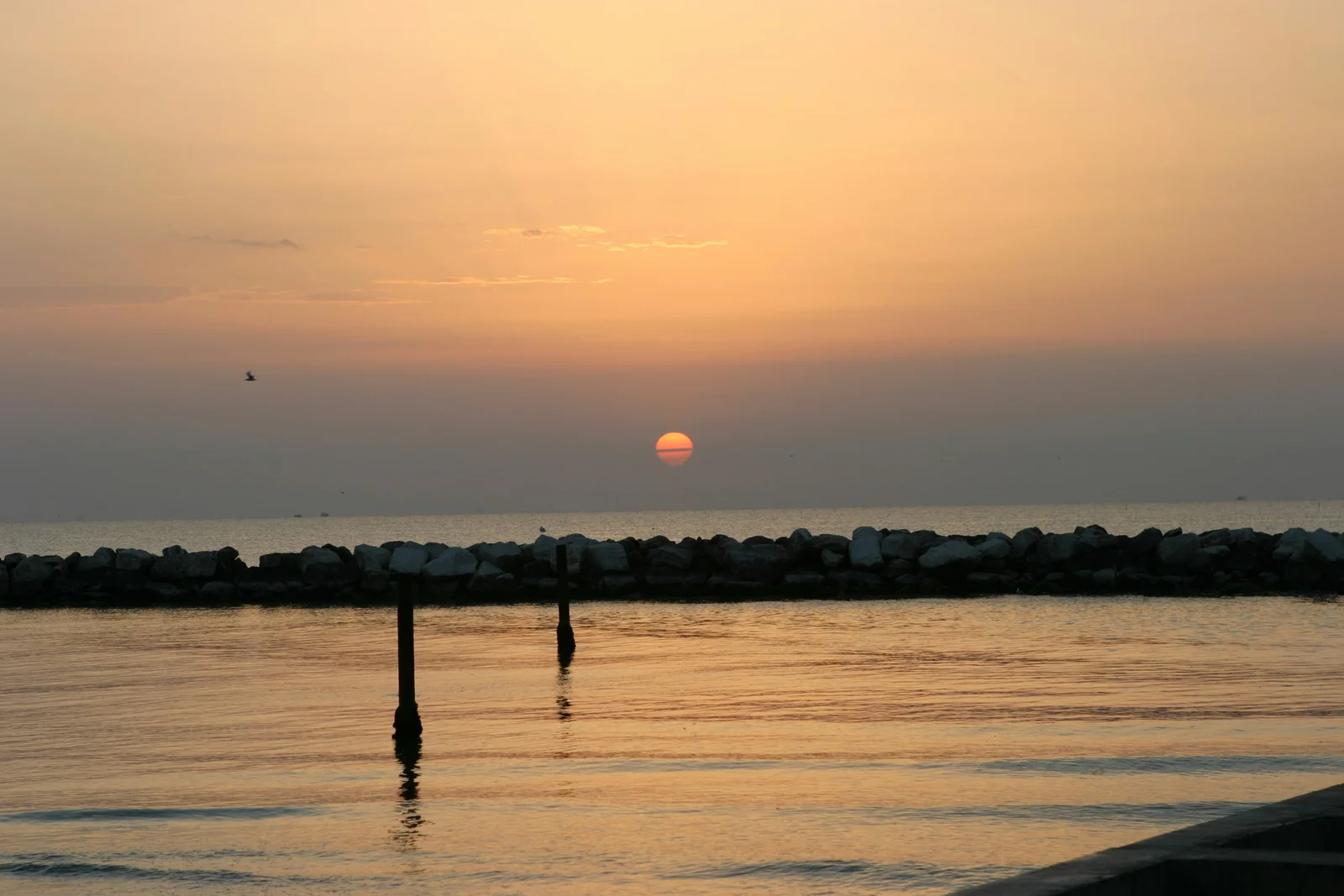 Camping Romagna