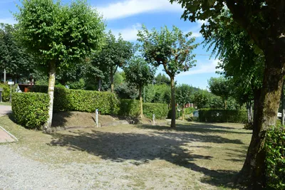 Camping Royal - Zeltplätze im Schatten der Bäume auf dem Campingplatz