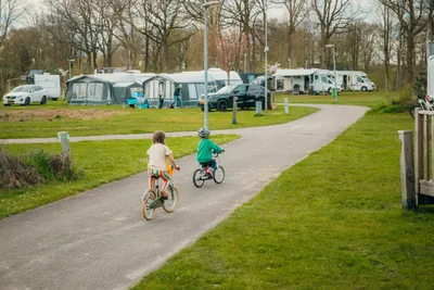 Vakantiepark Sallandshoeve - Bild 4