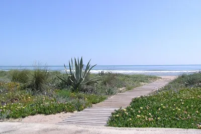 Camping San Vicente  -  Campingplatz mit direktem Zugang zum Strand am Mittelmeer