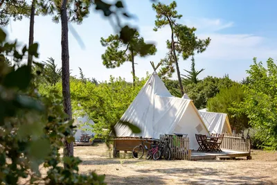 Camping Sandaya La Bosse