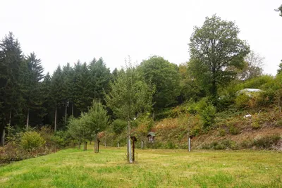 Camping Schafbachmuehle - Obstwiese.jpg