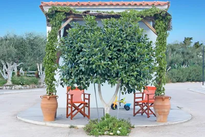 Camping Semeli -  Campingplatz Rezeption