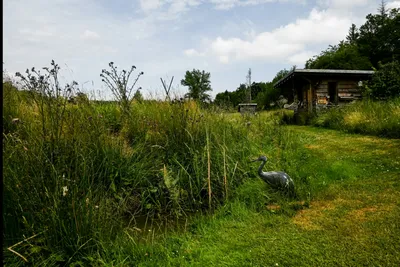 Camping Sohl am Rothaarsteig - Kleiner Teich auf dem Campingplatz