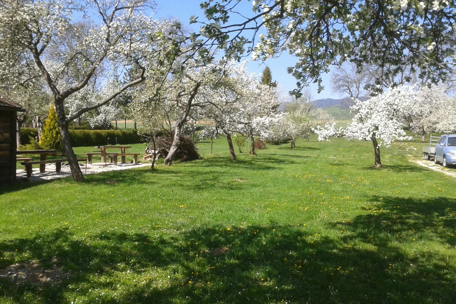 Camping Sokol Praha