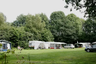 Camping 't Plathuis  -  Wohnwagen- und Zeltstellplatz auf grüner Wiese auf dem Campingplatz