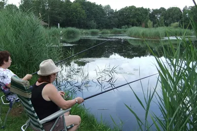 Camping 't Vossenveld