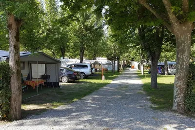 Camping Taimi - Wohnmobilstellplatz und Wohnwagenstellplatz zwischen Bäumen auf dem Campingplatz