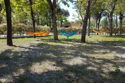 Camping Taimi  - Hängematten auf dem Campingplatz