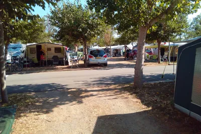 Camping Ter - Wohnwagen- und Zeltstellplatz zwischen Bäumen