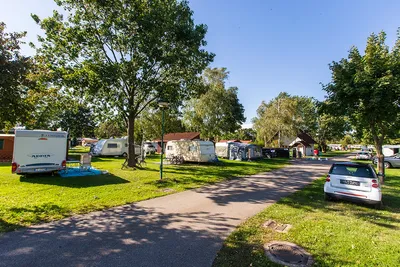 Camping Terme 3000  -  Wohnmobilstellplatz vom Campingplatz im Grünen zwischen Bäumen