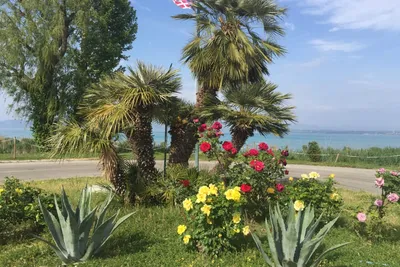 Camping Tiglio - Begrünung auf dem Campingplatz