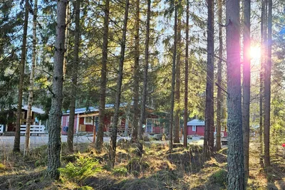 Camping Tiveden  - Mobilheime auf dem Campingplatz