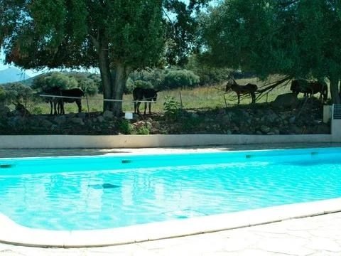 Camping U Sommalu