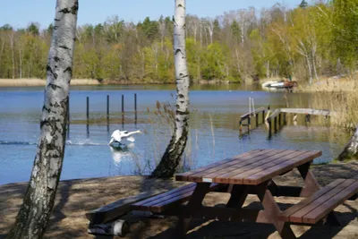 Bergwitzsee Resort - Bild 3