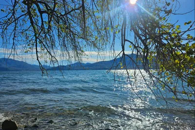 Blick auf den See mit Wasseroberfläche, im Vordergrund Bäume und Zweige, dahinter Berge und blaues Himmellicht.
