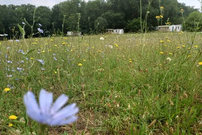 Camping Le Valenty - Bild 2