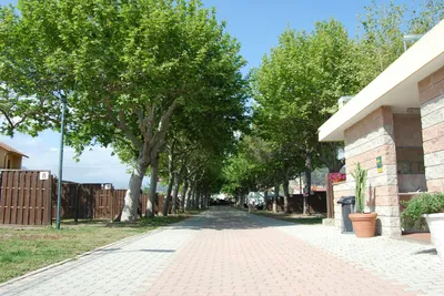Camping Vallecrosia  -   Sanitärgebäude und Campingplatzanlage