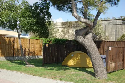 Camping Vallecrosia  -  Zeltstellplatz zwischen Bäumen auf dem Campingplatz