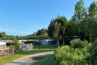 Vejlby Fed Strand Camping - Bild 2