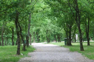 Camping Vila de Sarria - Stellplätze im Grünen