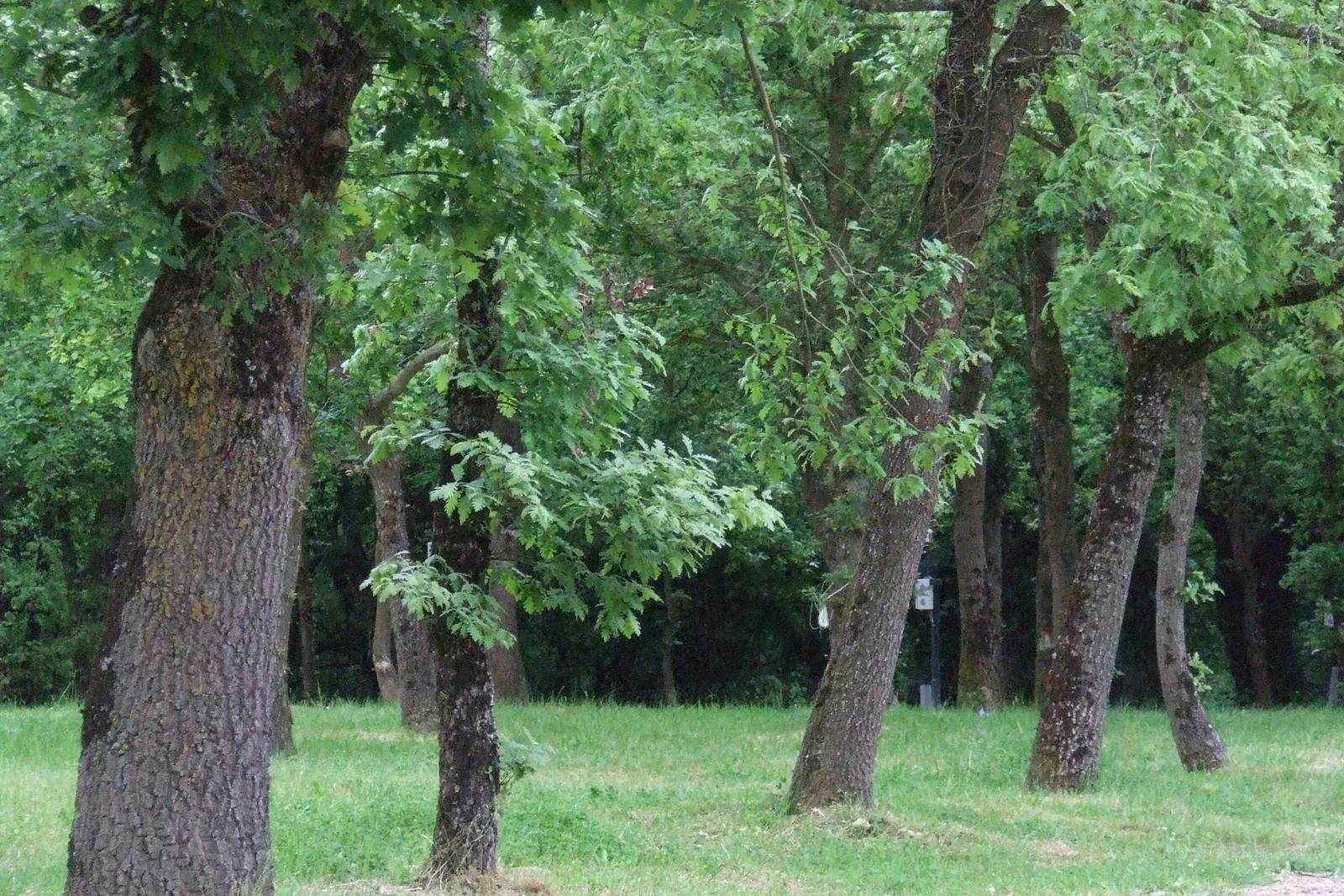 Camping Vila de Sarria